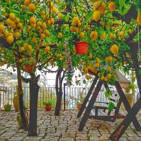 Il Limoneto Degli Angeli *
