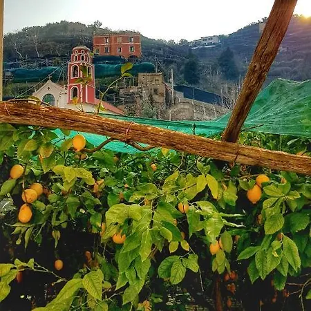 Il Limoneto Degli Angeli