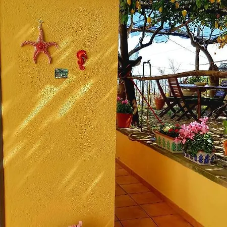 Il Limoneto Degli Angeli *