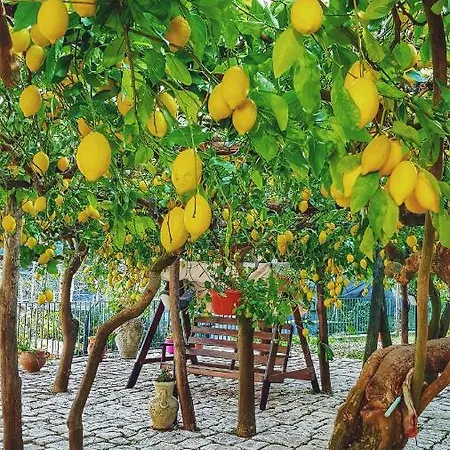 度假居 Il Limoneto Degli Angeli