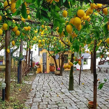 Il Limoneto Degli Angeli 度假居