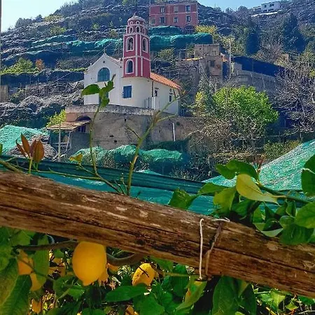 Il Limoneto Degli Angeli *