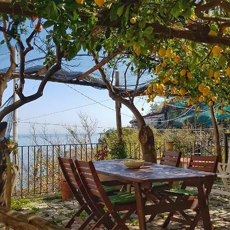 Il Limoneto Degli Angeli 米诺利