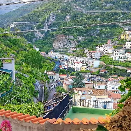 Il Limoneto Degli Angeli