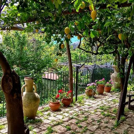 度假居 Il Limoneto Degli Angeli 米诺利