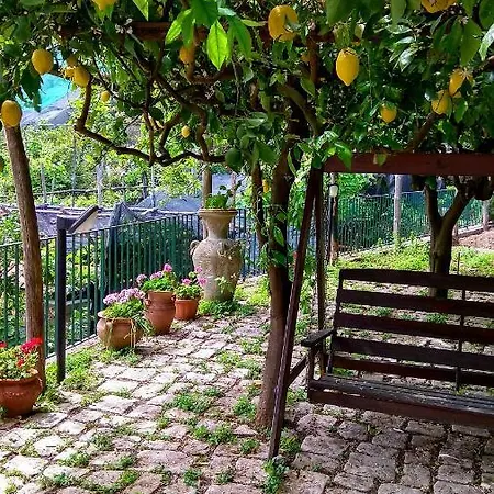 度假居 Il Limoneto Degli Angeli 米诺利