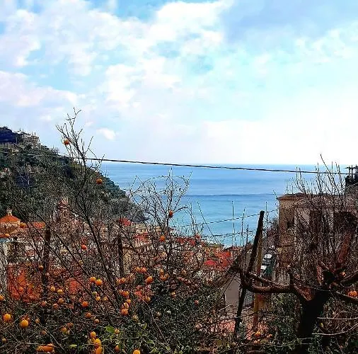 Il Limoneto Degli Angeli * Minori